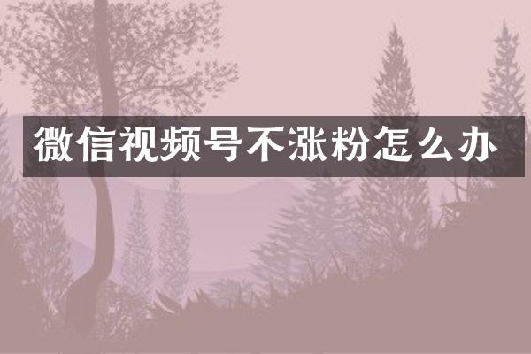 微信视频号不涨粉怎么办