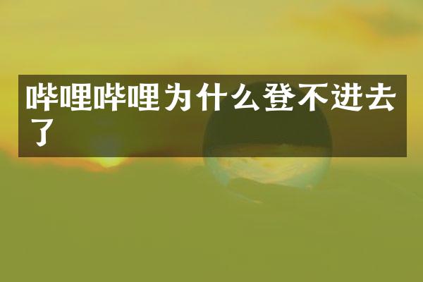 哔哩哔哩为什么登不进去了