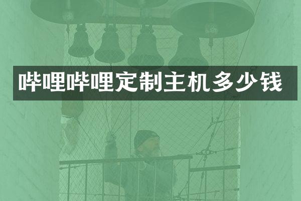 哔哩哔哩定制主机多少钱