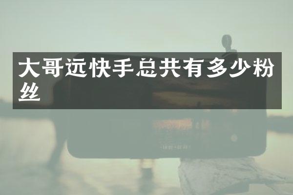 大哥远快手总共有多少粉丝