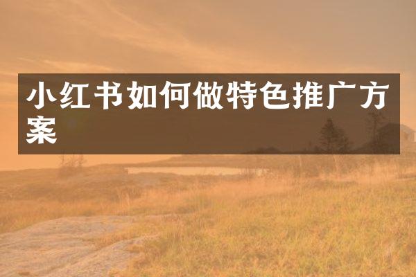 小红书如何做特色推广方案