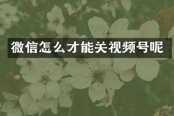 微信怎么才能关视频号呢