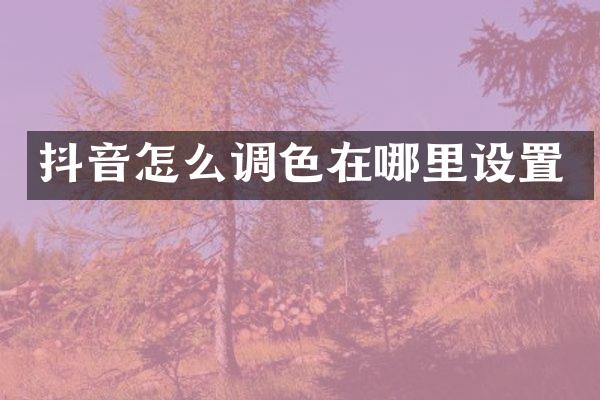 抖音怎么调色在哪里设置