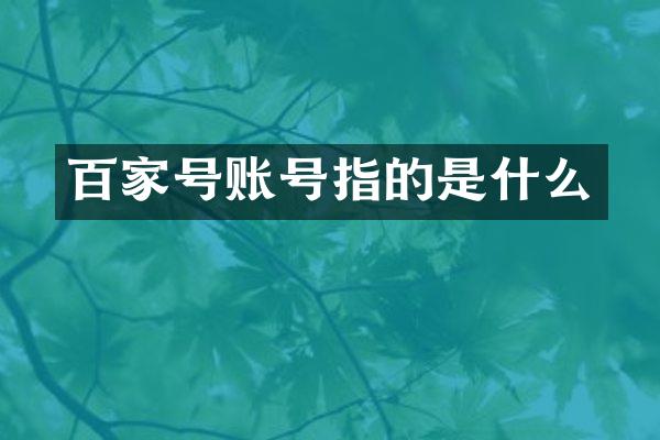 百家号账号指的是什么