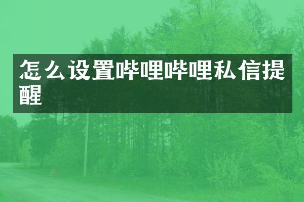 怎么设置哔哩哔哩私信提醒