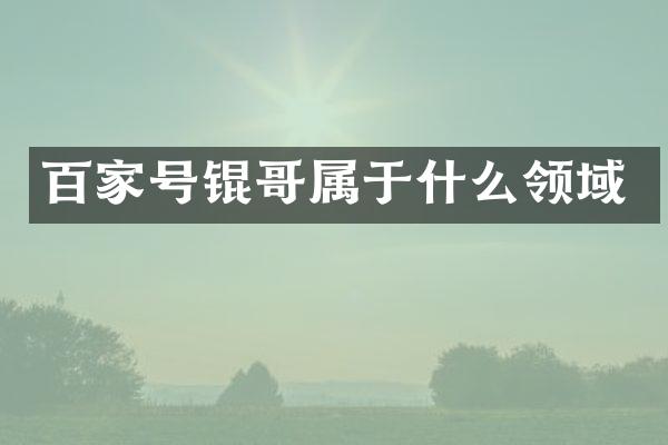 百家号锟哥属于什么领域