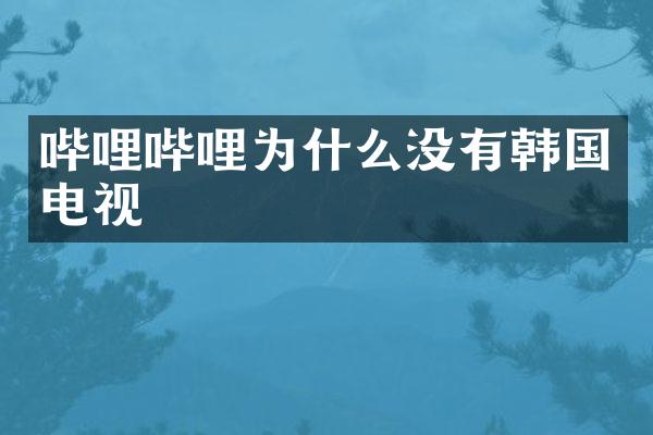 哔哩哔哩为什么没有韩国电视