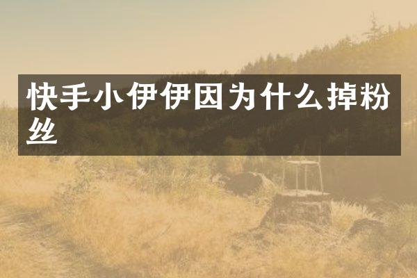 快手小伊伊因为什么掉粉丝