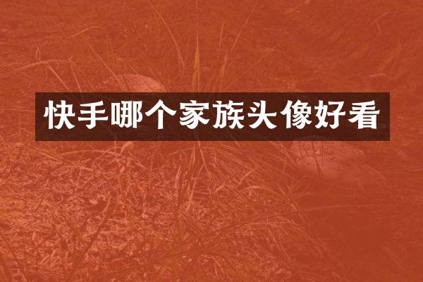 快手哪个家族头像好看