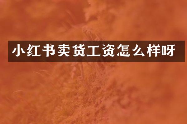 小红书卖货工资怎么样呀