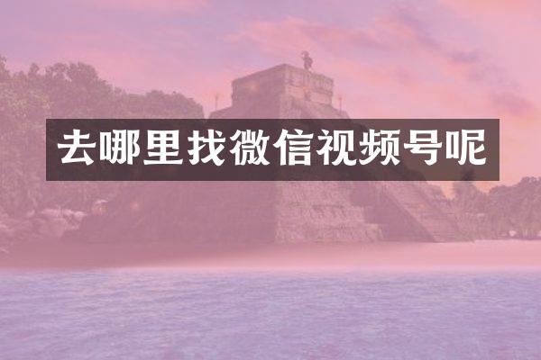 去哪里找微信视频号呢