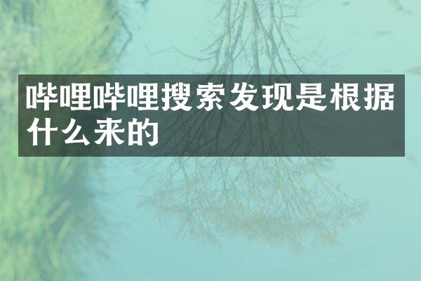 哔哩哔哩搜索发现是根据什么来的
