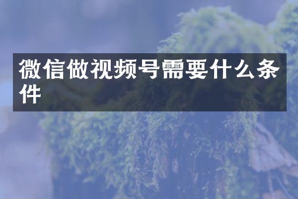 微信做视频号需要什么条件