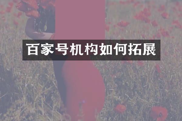 百家号机构如何拓展
