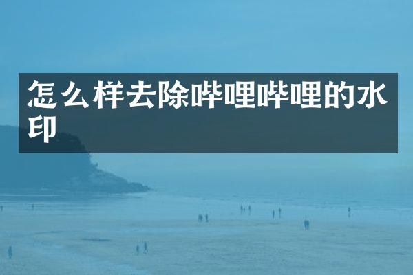 怎么样去除哔哩哔哩的水印