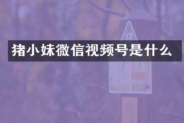 猪小妹微信视频号是什么