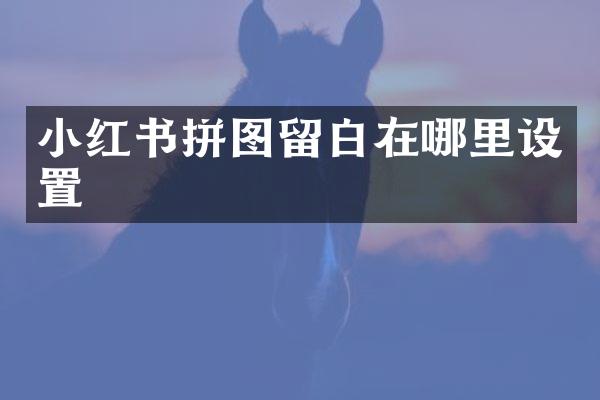 小红书拼图留白在哪里设置