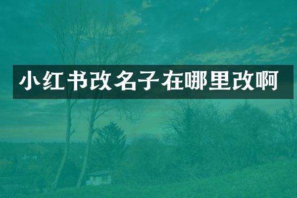小红书改名子在哪里改啊