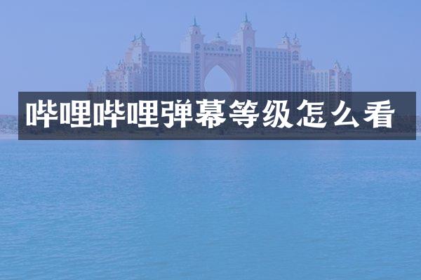 哔哩哔哩弹幕等级怎么看