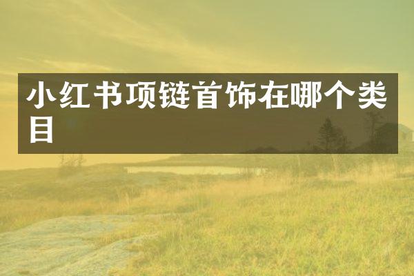小红书项链首饰在哪个类目
