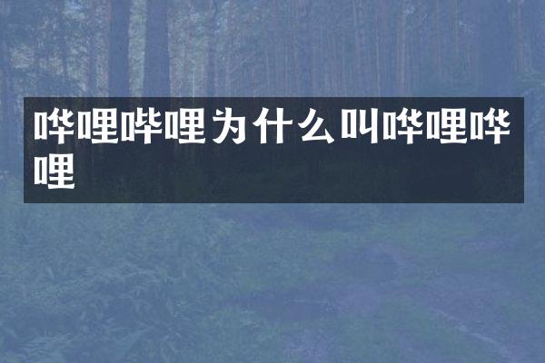 哗哩哔哩为什么叫哗哩哗哩