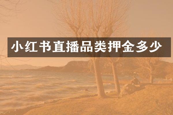 小红书直播品类押金多少