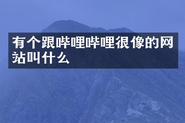有个跟哔哩哔哩很像的网站叫什么
