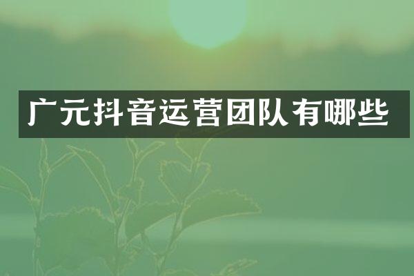 广元抖音运营团队有哪些