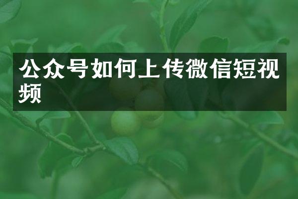 公众号如何上传微信短视频