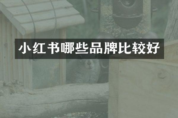 小红书哪些品牌比较好