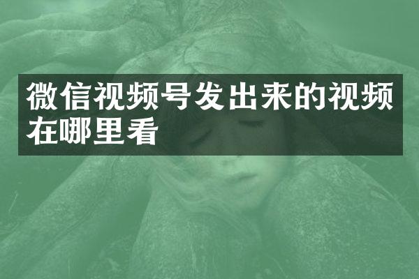 微信视频号发出来的视频在哪里看
