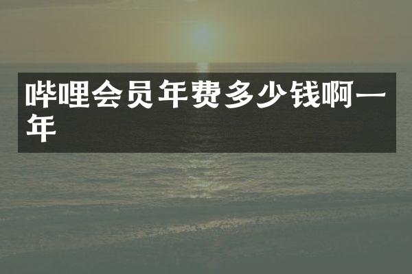 哔哩会员年费多少钱啊一年