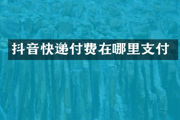 抖音快递付费在哪里支付