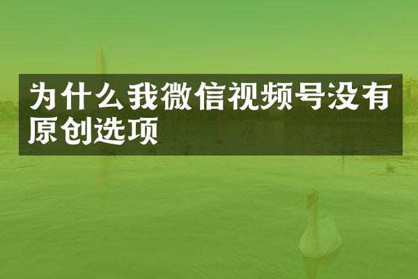 为什么我微信视频号没有原创选项