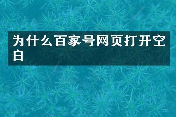 为什么百家号网页打开空白