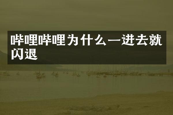 哔哩哔哩为什么一进去就闪退