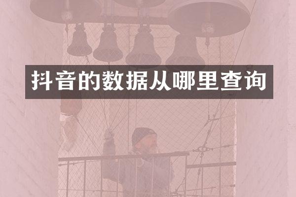 抖音的数据从哪里查询
