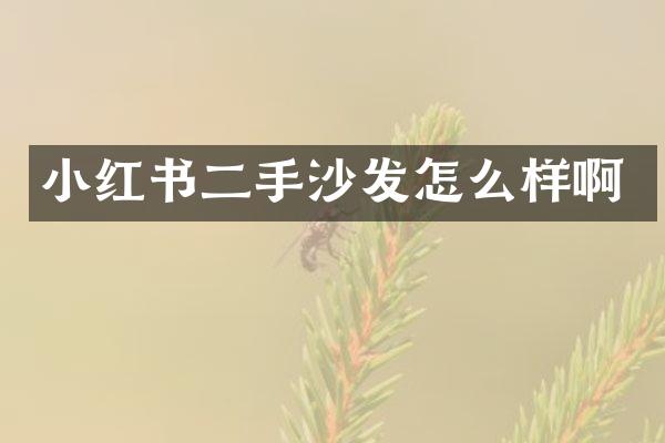 小红书二手沙发怎么样啊