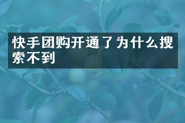 快手团购开通了为什么搜索不到
