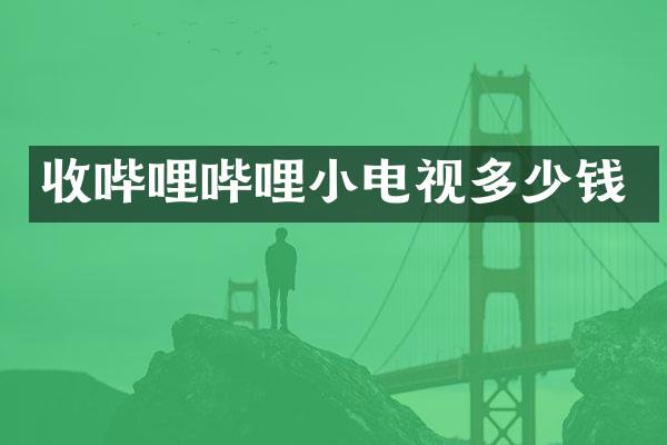 收哔哩哔哩小电视多少钱