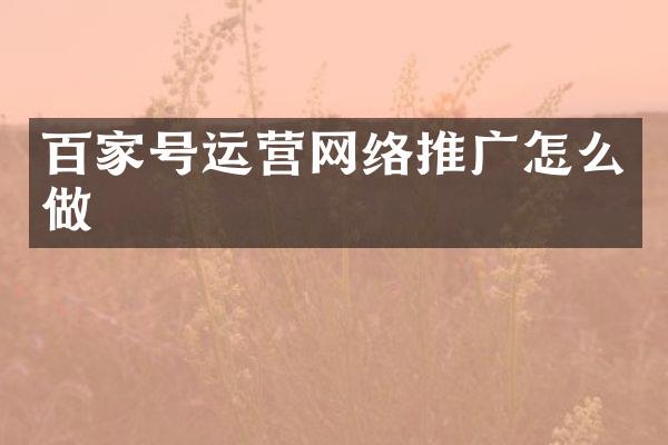 百家号运营网络推广怎么做