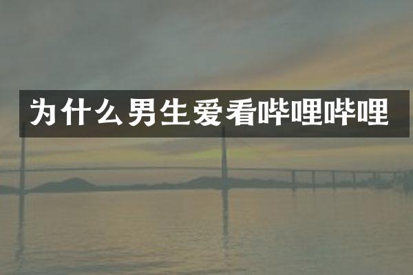为什么男生爱看哔哩哔哩