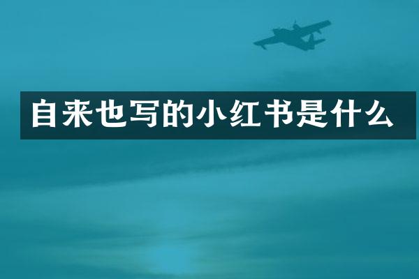 自来也写的小红书是什么