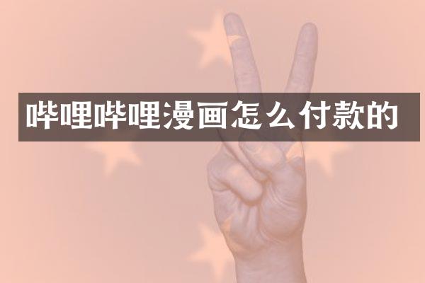 哔哩哔哩漫画怎么付款的