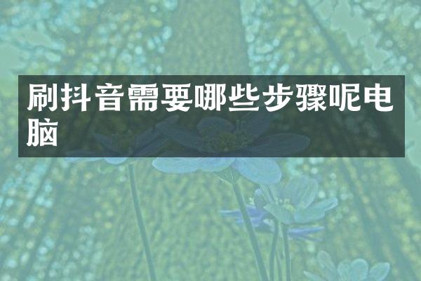刷抖音需要哪些步骤呢电脑