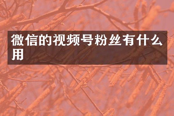微信的视频号粉丝有什么用