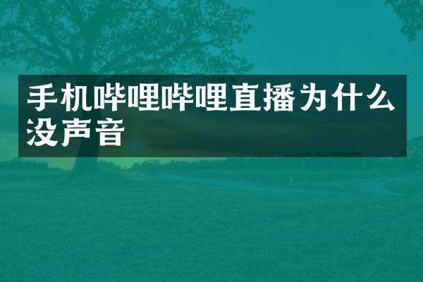手机哔哩哔哩直播为什么没声音