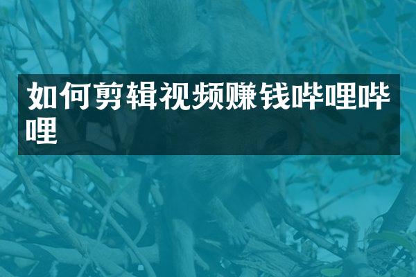 如何剪辑视频赚钱哔哩哔哩