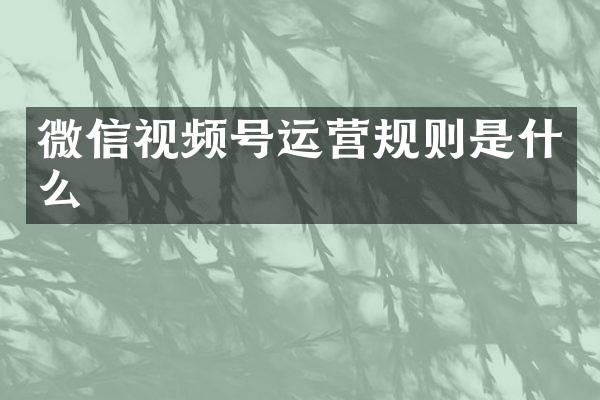 微信视频号运营规则是什么