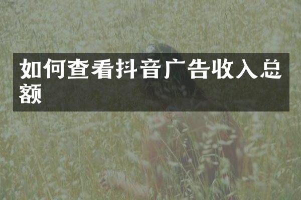 如何查看抖音广告收入总额